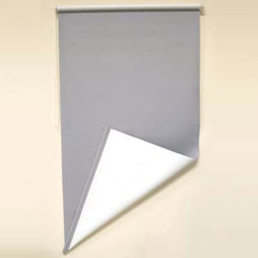 Passport Background
