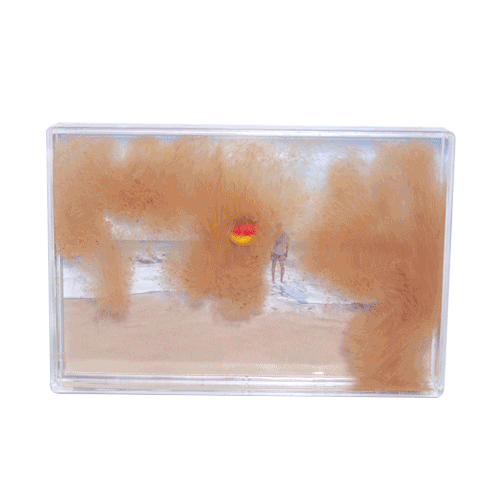 Sand Blox 4 x 6" complete with beachball & starfish floater